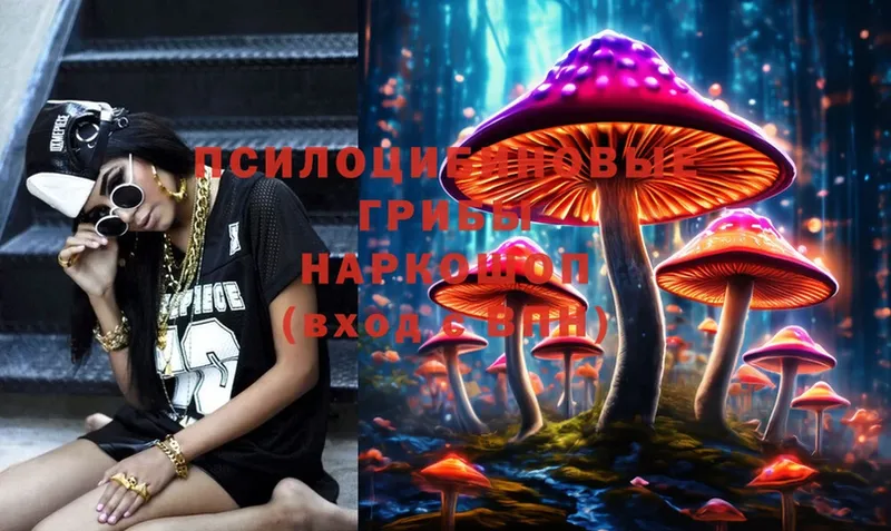 Галлюциногенные грибы Psilocybe  Донской 